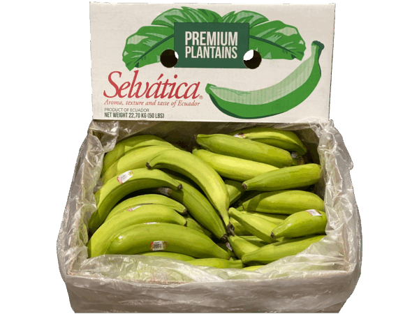 グリーンプラタノ 22キロ transparent Photoroom 2025 11 15T080513.055