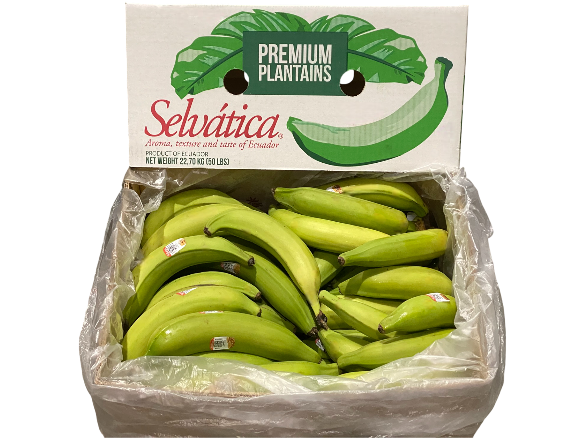 グリーンプラタノ 22キロ Green Plantain 22 kilos - 画像 (2)