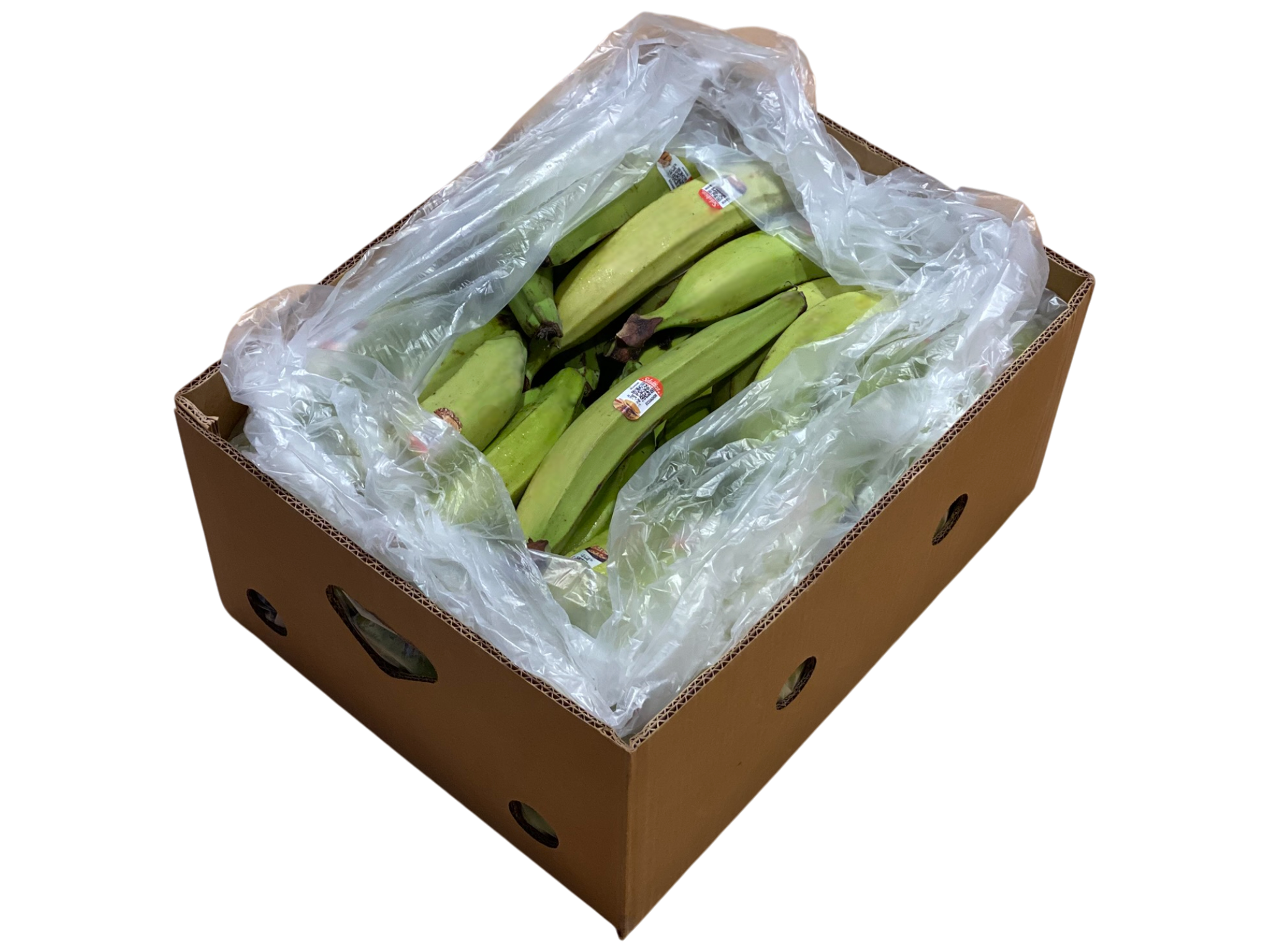 グリーンプラタノ 22キロ Green Plantain 22 kilos - 画像 (4)