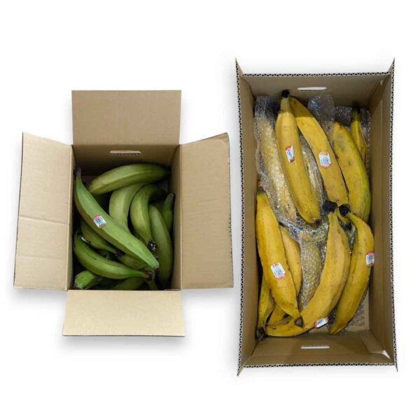 Mixed Plantain 10 kilos