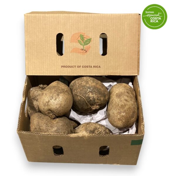 Fresh White Yams 10 kilos (Dioscorea alata)