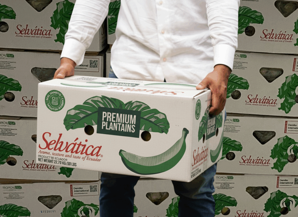 transparent Photoroom 65