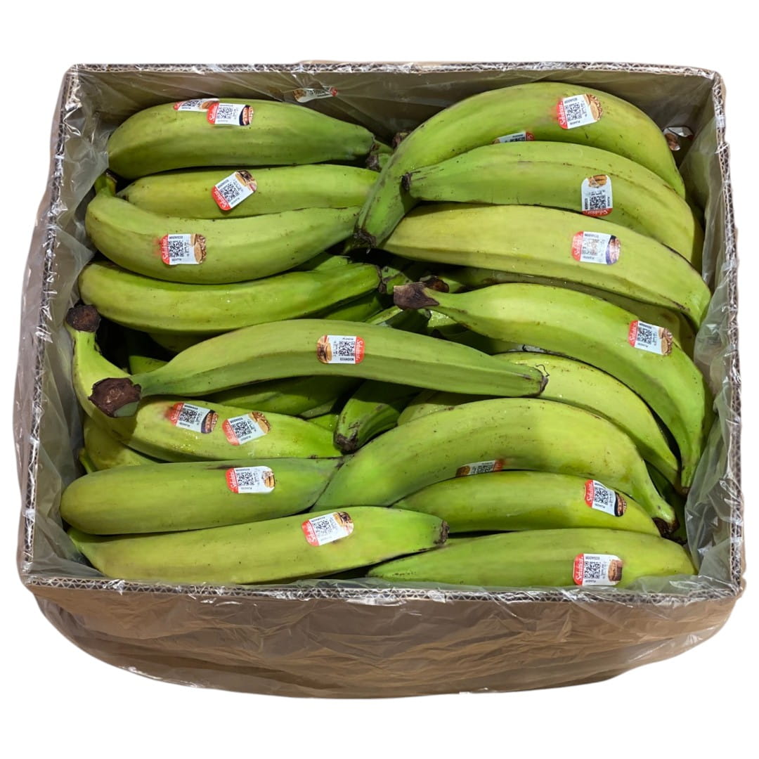 Green Plantain 22 kilos (Ecuador)