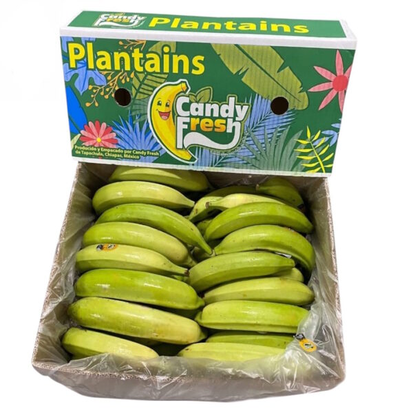 Banana-da-terra verde 22 kilos (México)