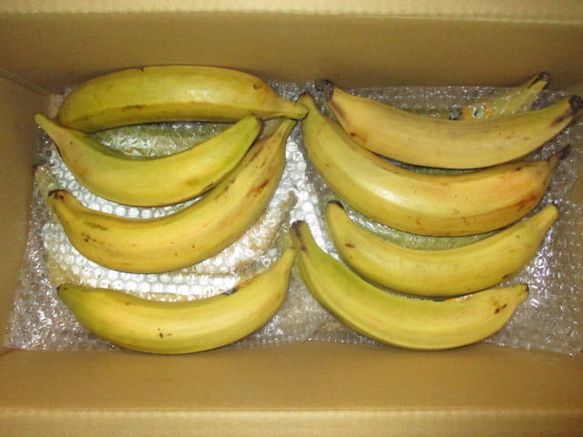 Ripe Plantain 5 kilos (Mexico) Ripe Plantain 5 kilos (Mexico)