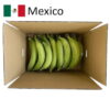 Green Plantain 10 kilos (Mexico) wf10kgmexico