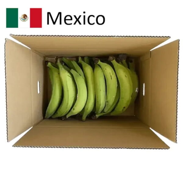 Green Plantain 10 kilos (Mexico)